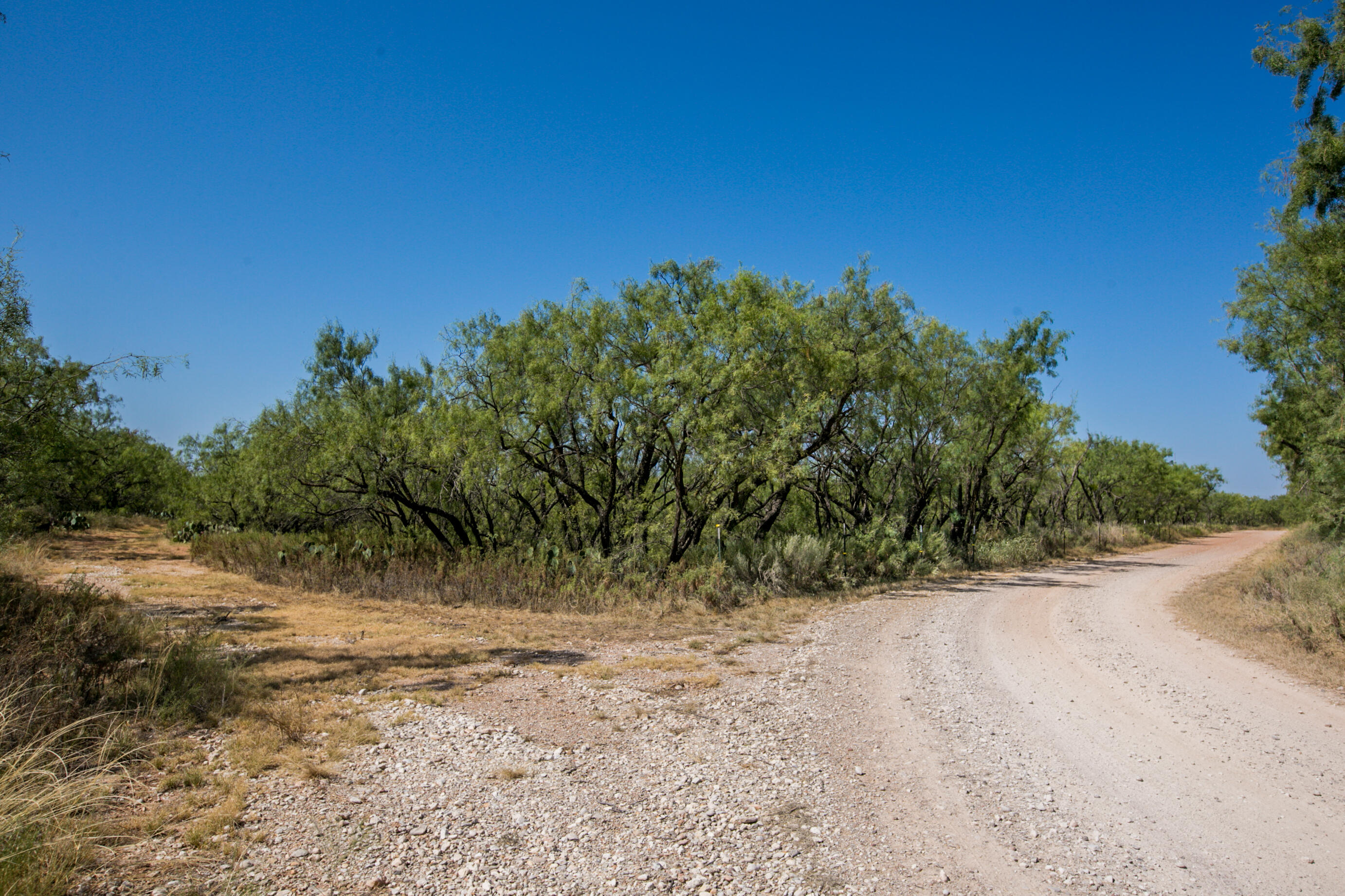 629 Co Rd 356 Property Photo 58