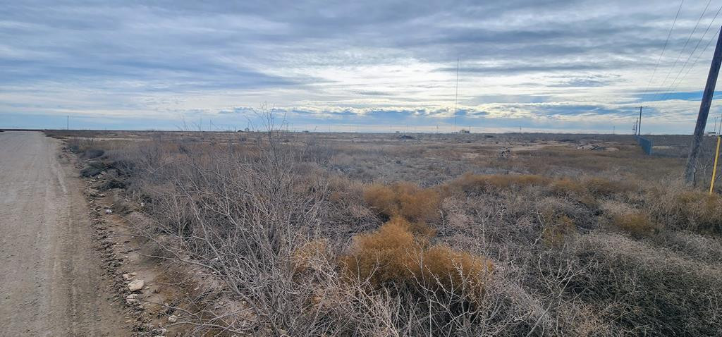 Tbd Hwy 137 Property Photo 5