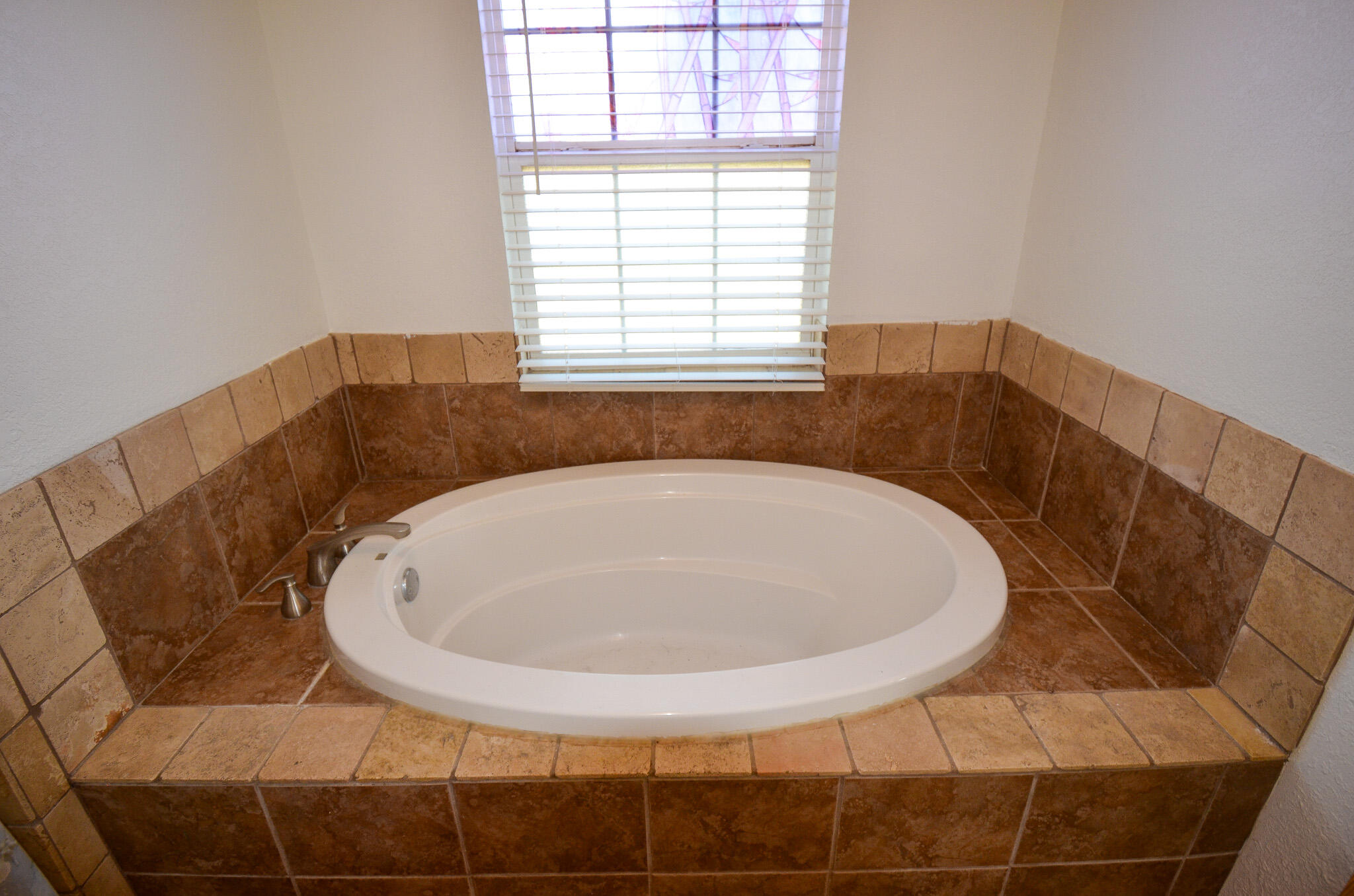 8682 Petunia Avenue Property Photo 17
