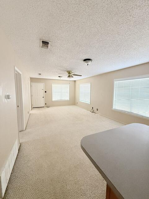 513 Pecan Street Property Photo 5