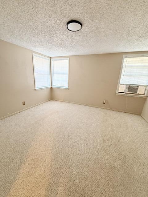 513 Pecan Street Property Photo 7