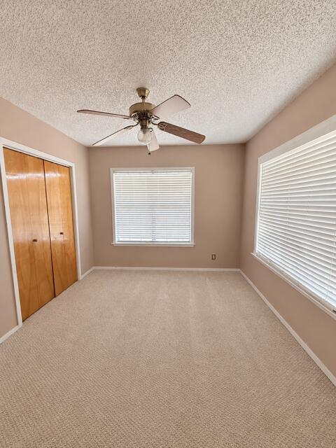 513 Pecan Street Property Photo 11