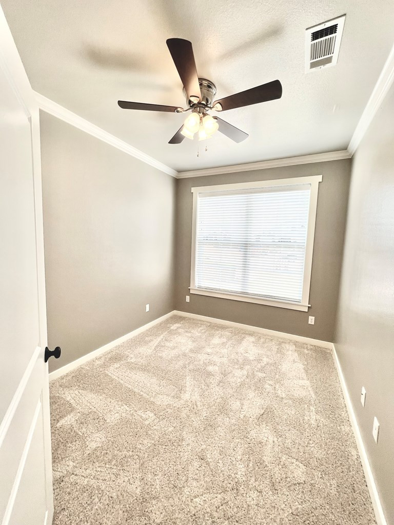 4041 Blair Lane Property Photo 18