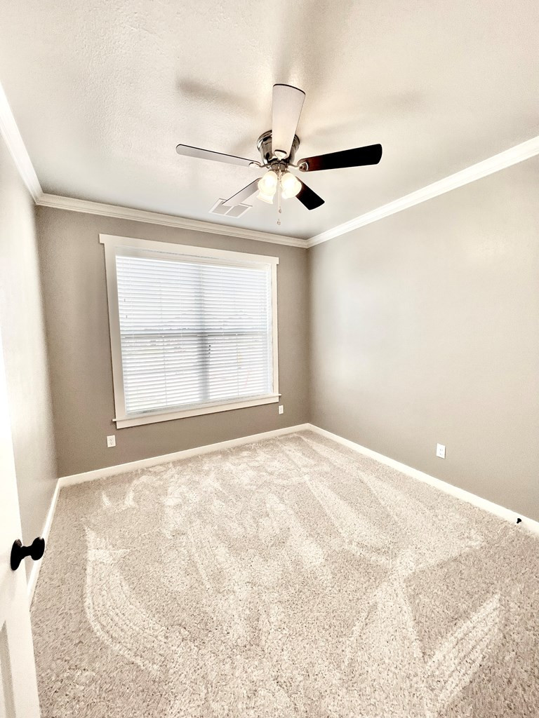 4041 Blair Lane Property Photo 19