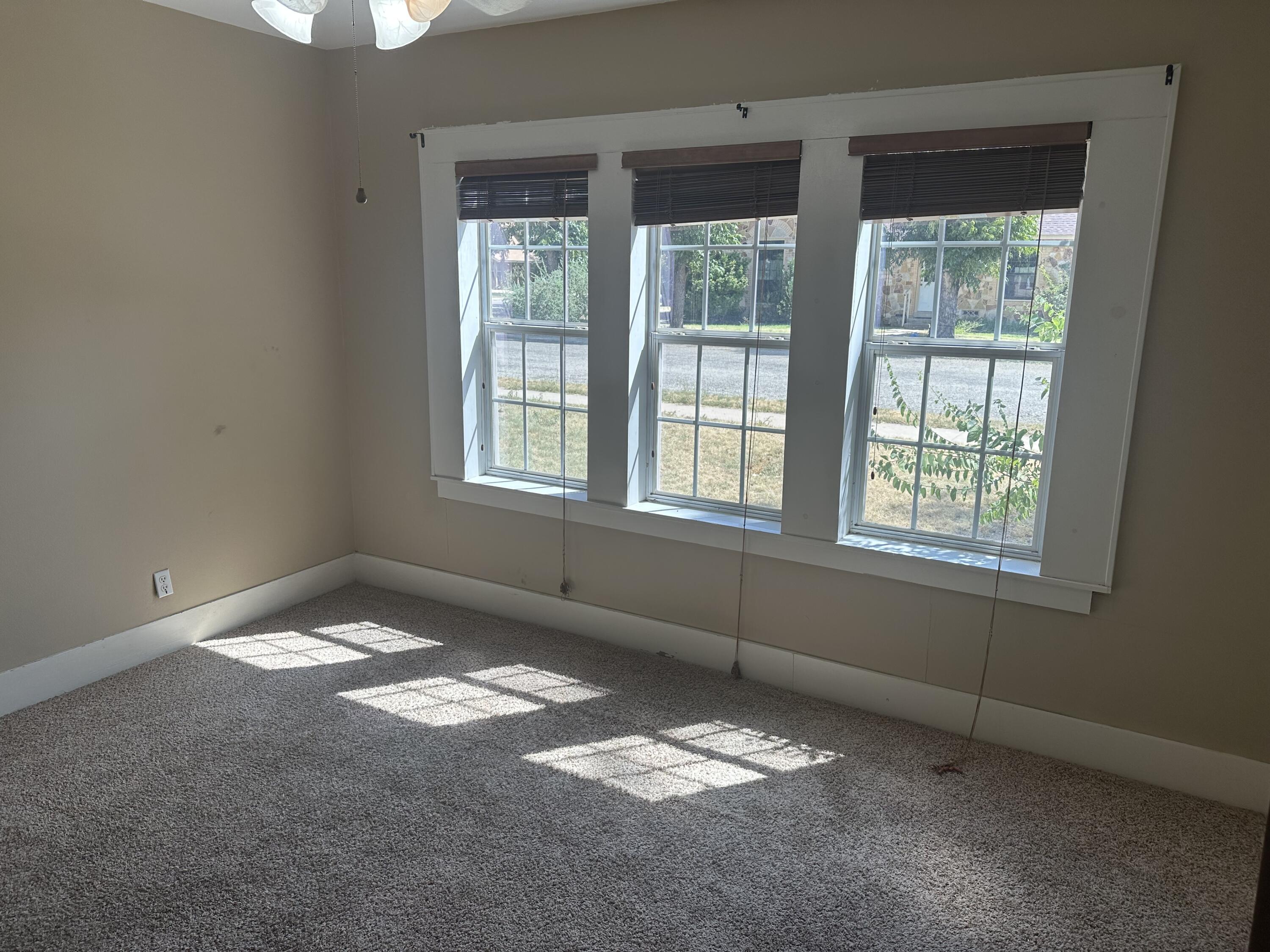 1427 S Park Street Property Photo 16