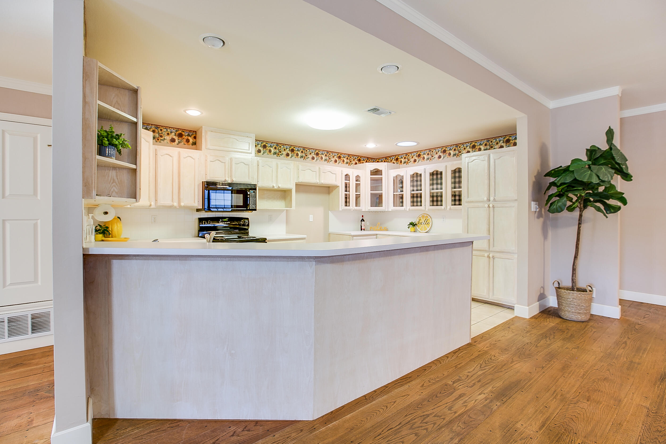 3713 Apollo Lane Property Photo 11