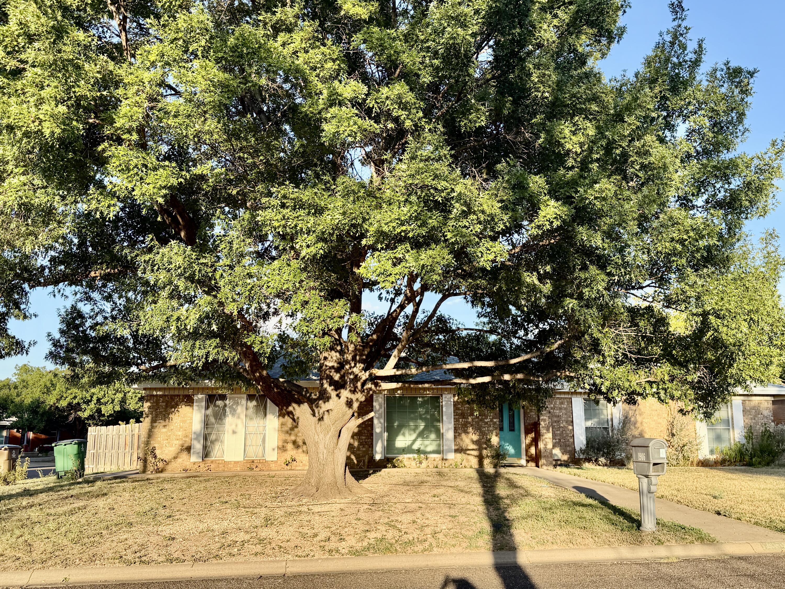 1906 N Harrison Street Property Photo 2
