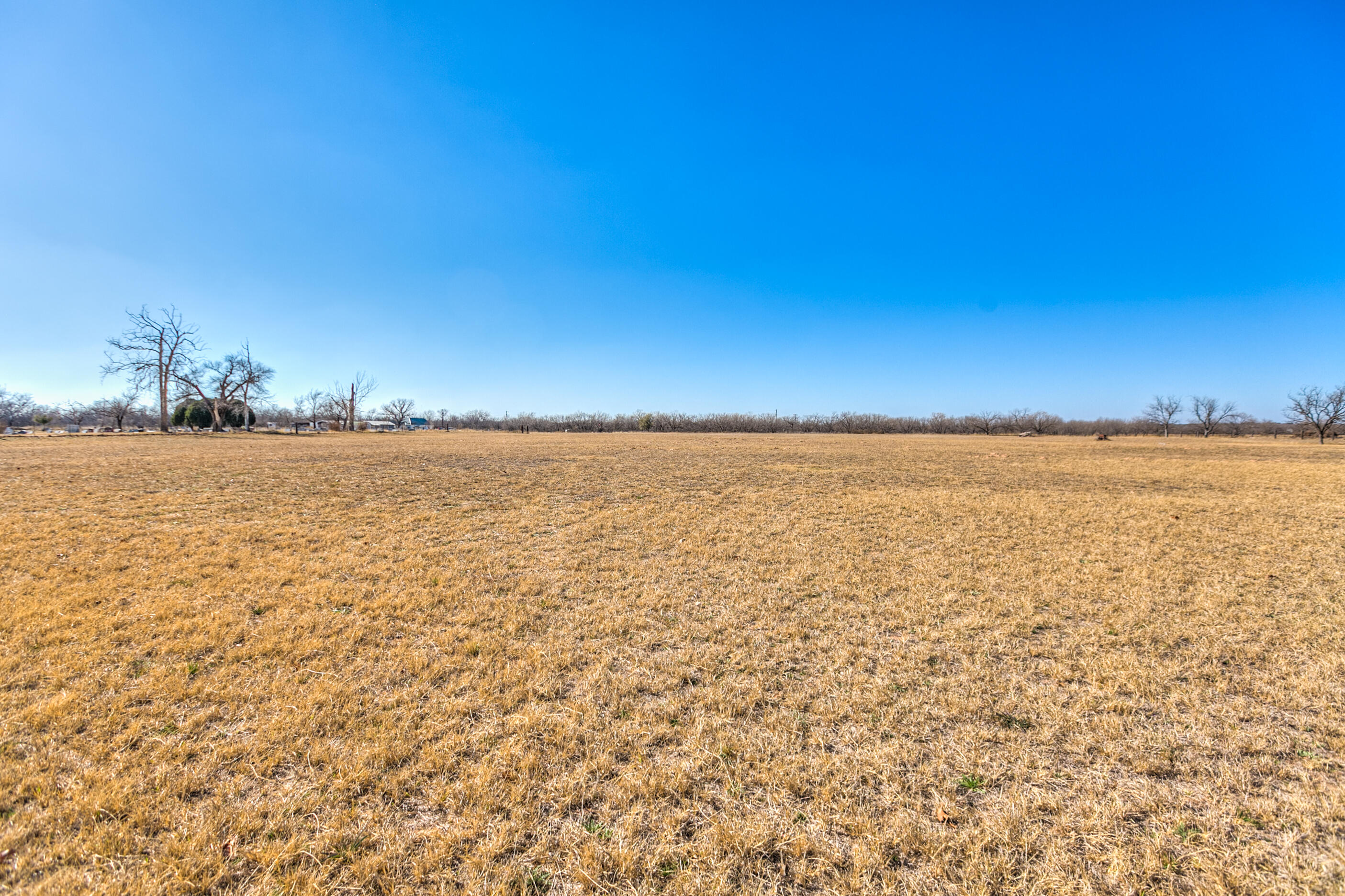 2024 Hutchings Avenue Property Photo 11
