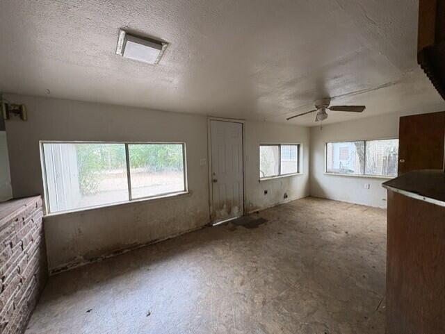 2902 San Antonio Street Property Photo 5