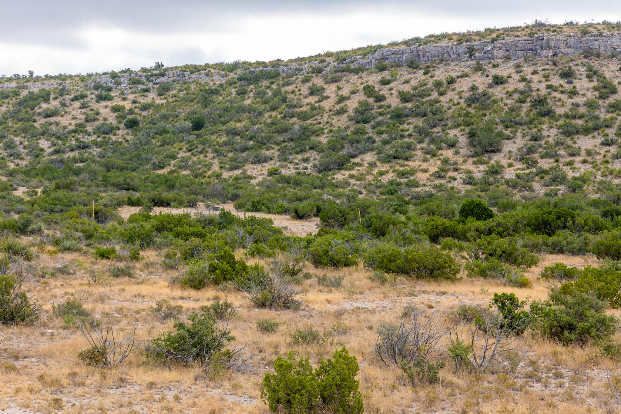 3499 Big Bear Run Property Photo 30