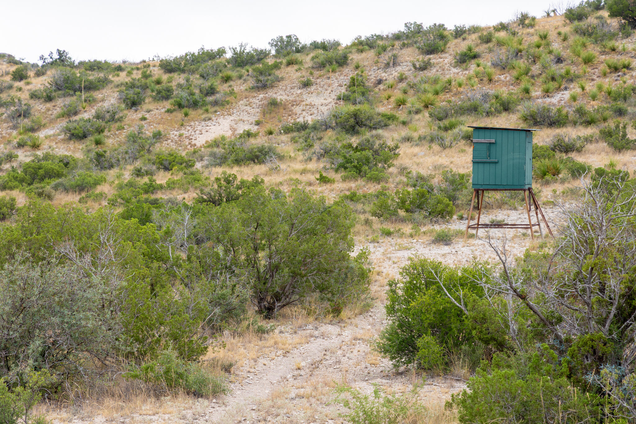 3499 Big Bear Run Property Photo 34