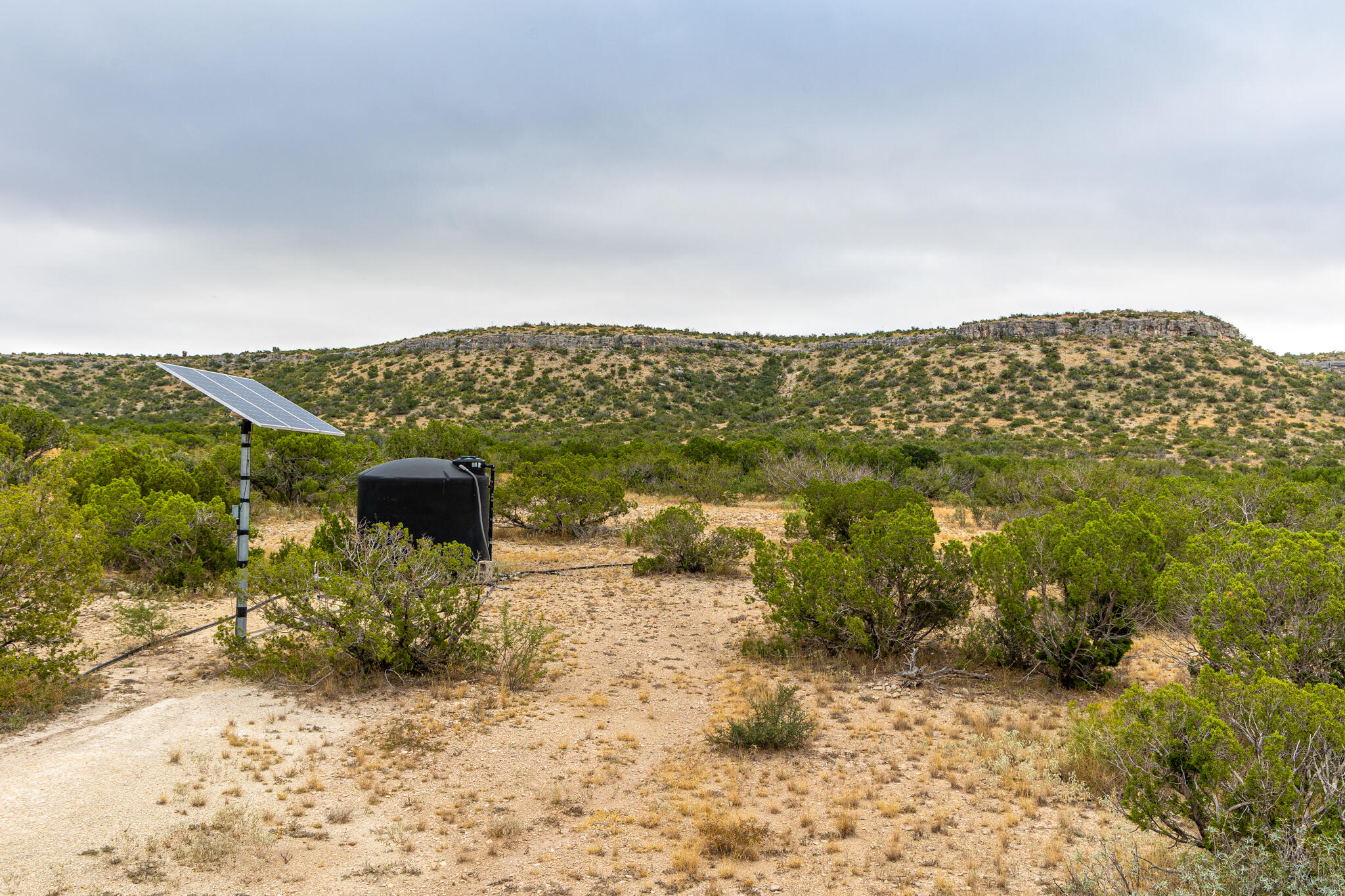 3499 Big Bear Run Property Photo 36