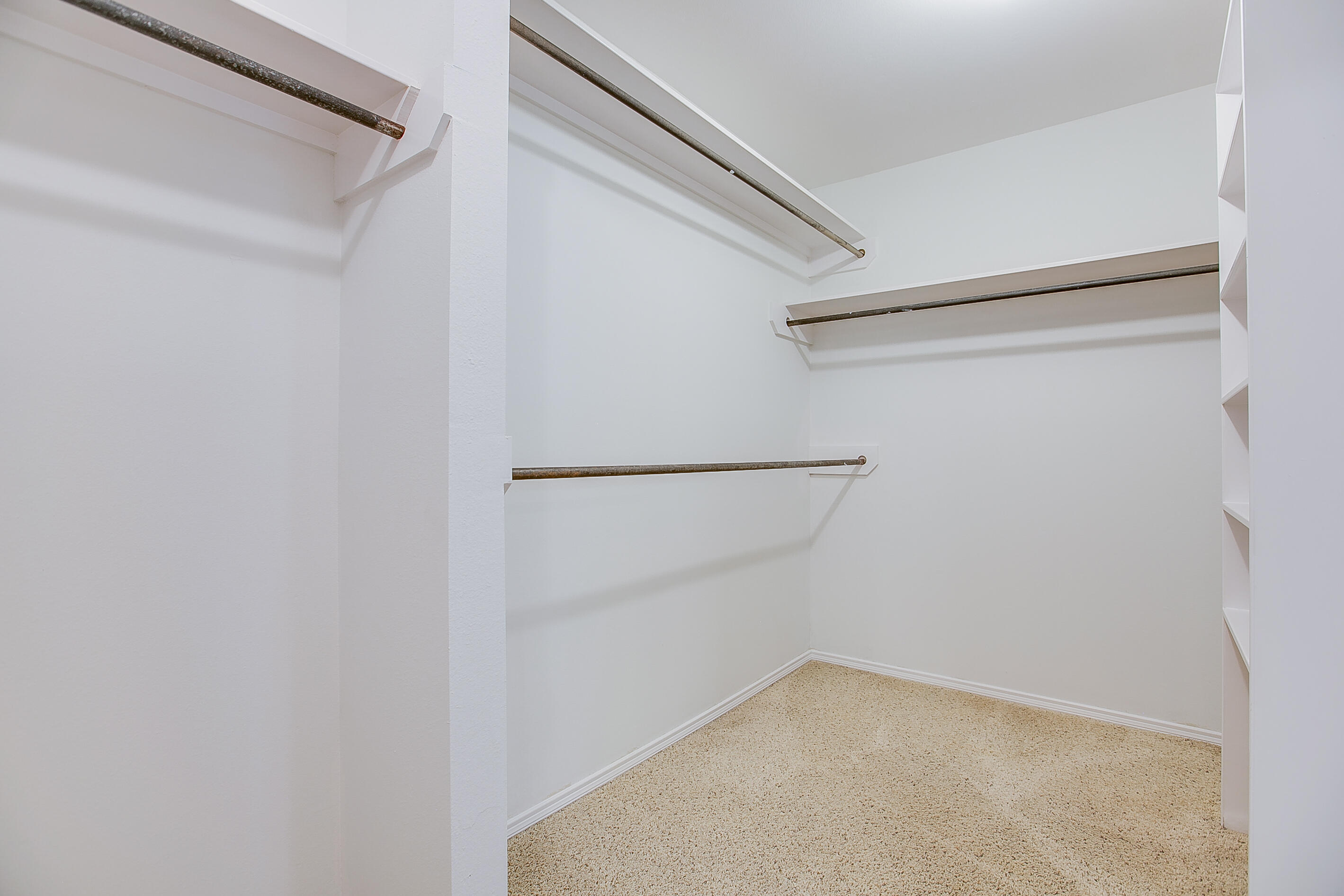 5114 Blue Ridge Trail Property Photo 26