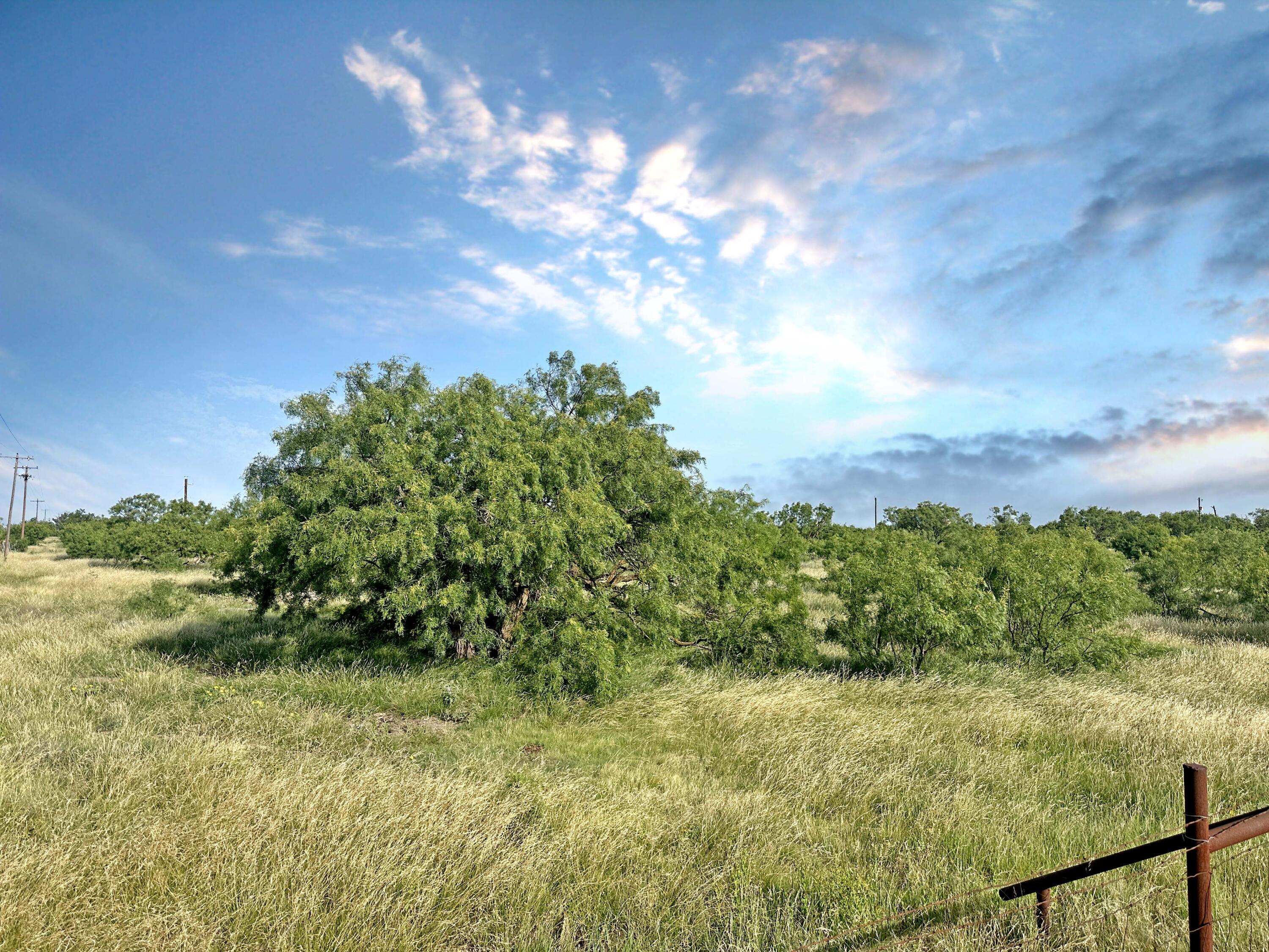 0 W Us Highway 190 Property Photo 7