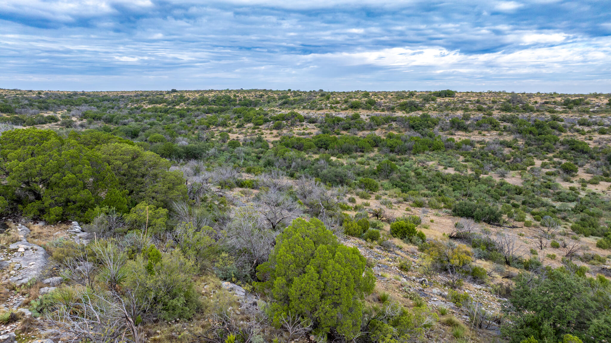 2165 Chisholm Road Property Photo 14
