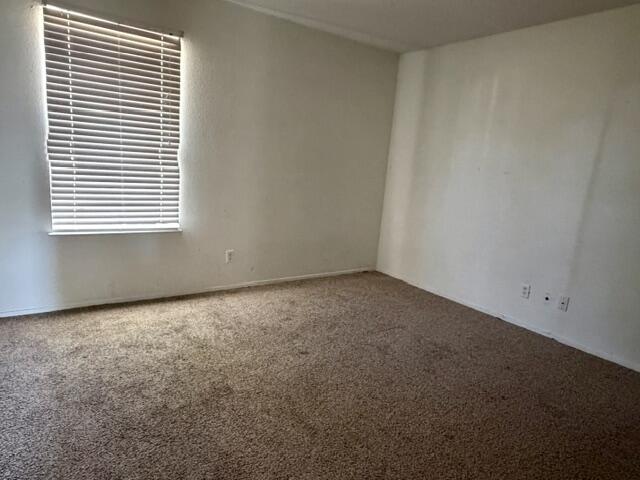 821 Van Zandt Street Property Photo 4