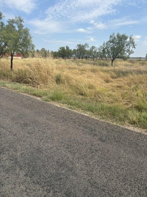 10024 Possum Hollow Road Property Photo 1