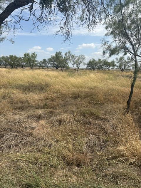 10024 Possum Hollow Road Property Photo 2