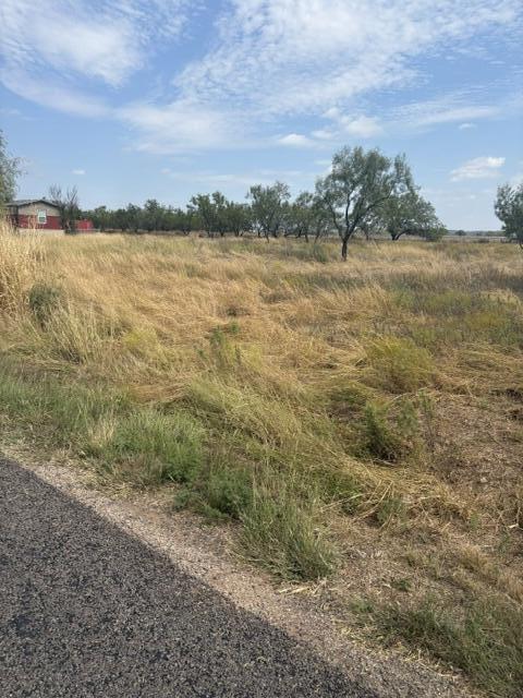 10024 Possum Hollow Road Property Photo 3