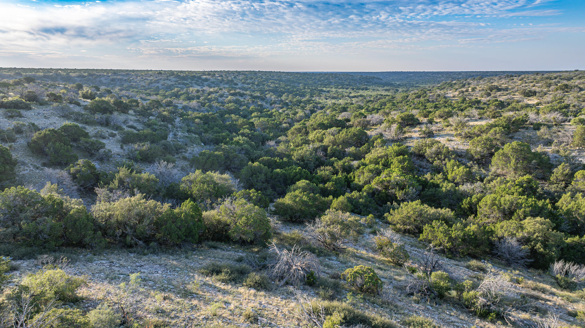 5970 Fm 2083 Property Photo 17