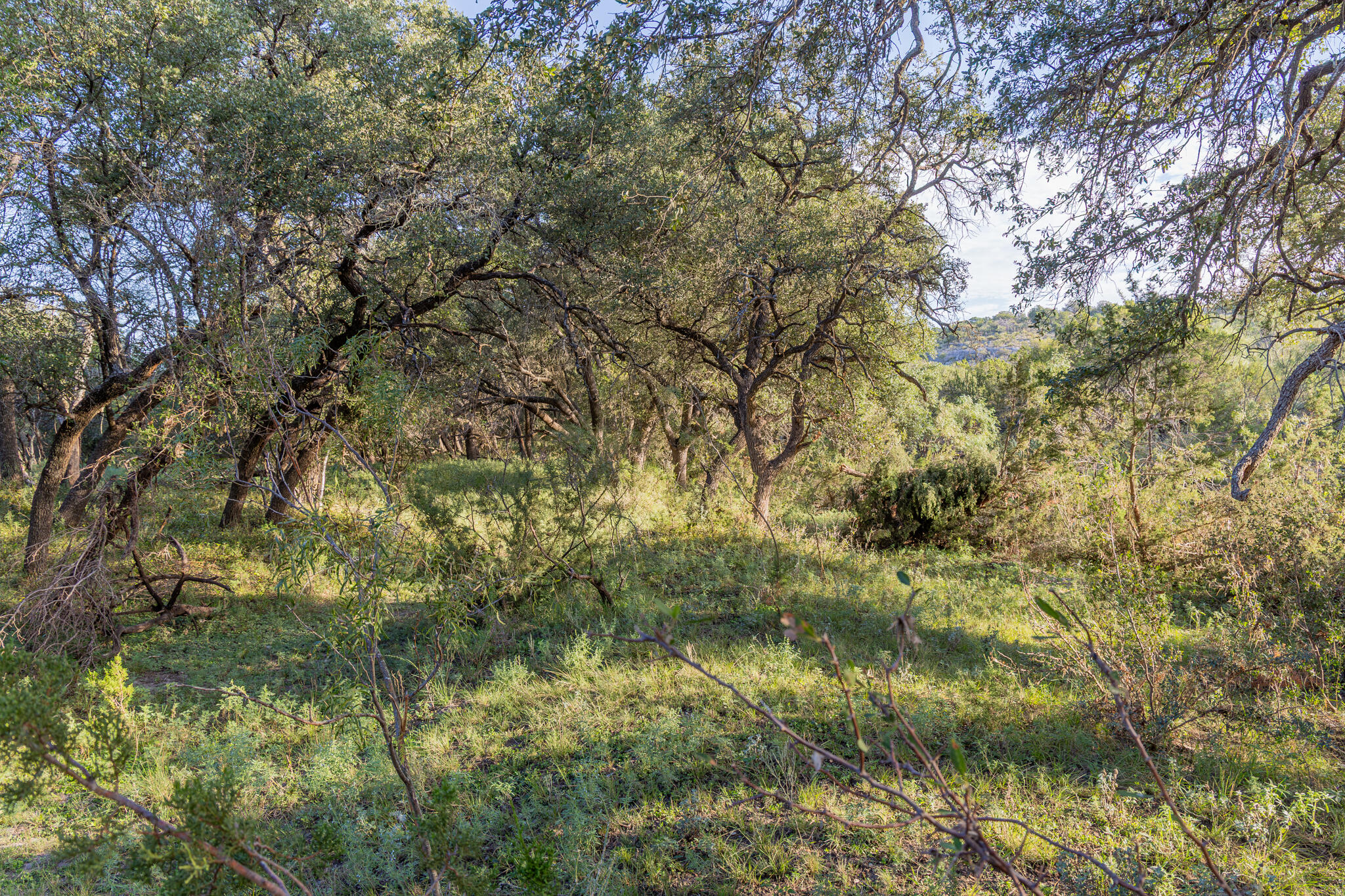 5970 Fm 2083 Property Photo 26