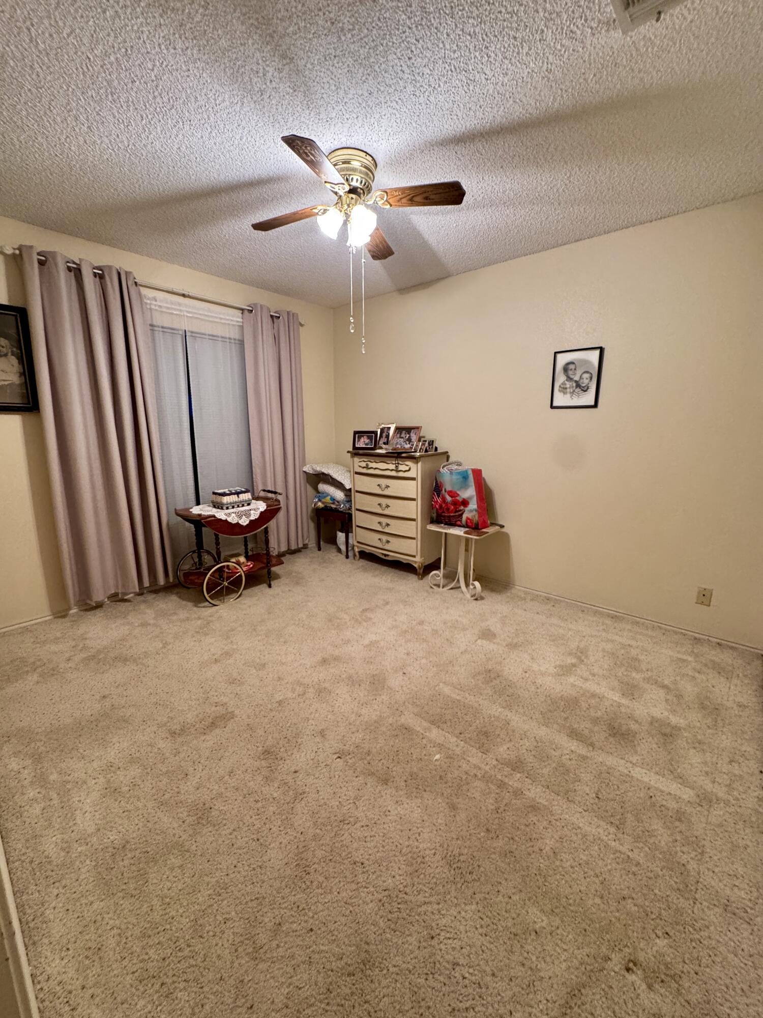 4113 Shefflera Drive Property Photo 21