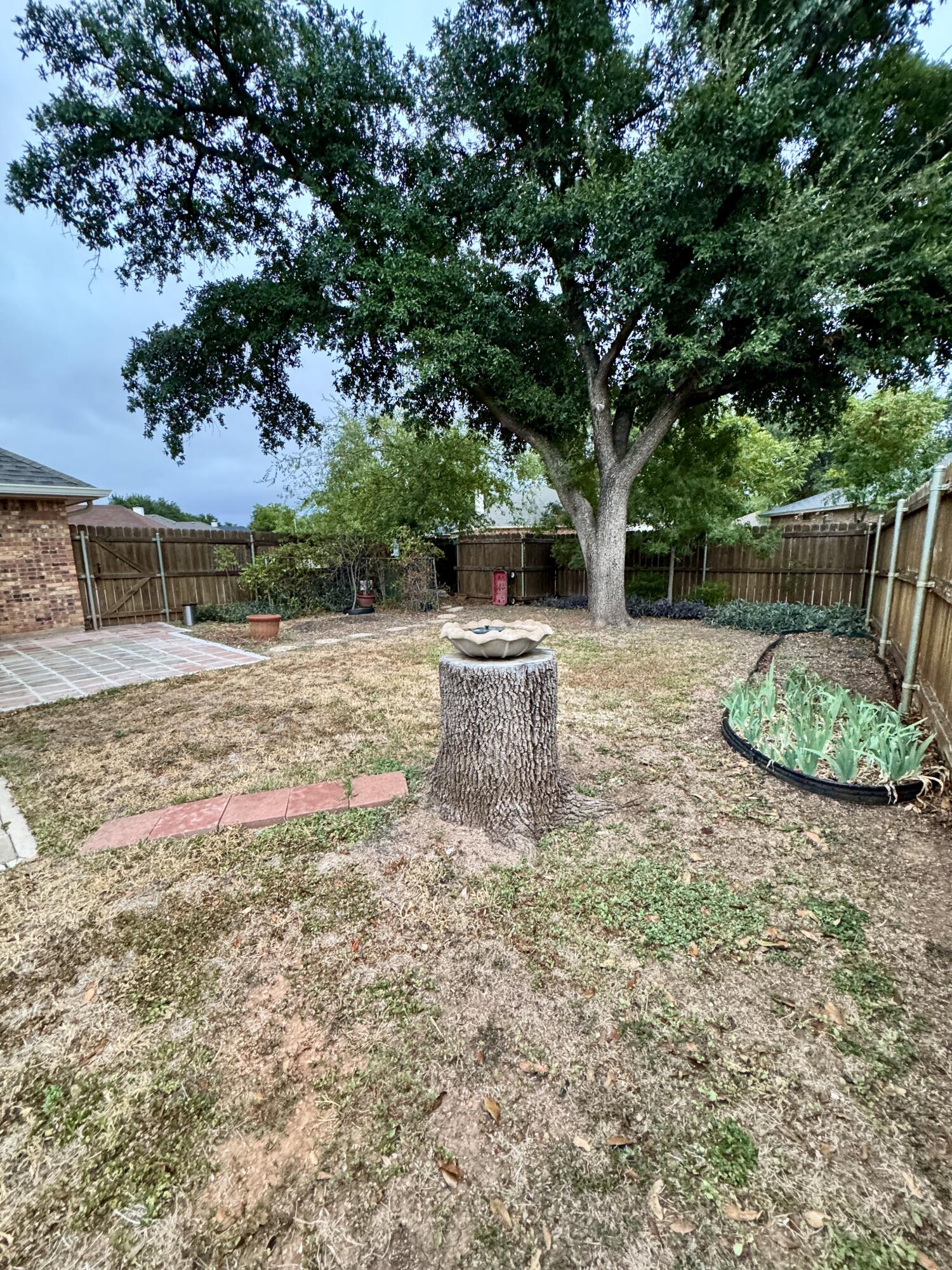 4113 Shefflera Drive Property Photo 33
