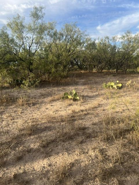 10341 Mountain View Lane Property Photo 4