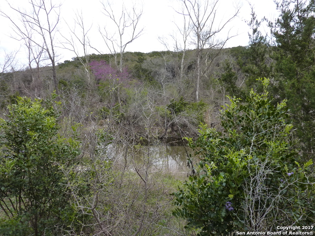 17032 Scenic Loop Road Property Photo 1