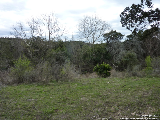 17032 Scenic Loop Road Property Photo 2