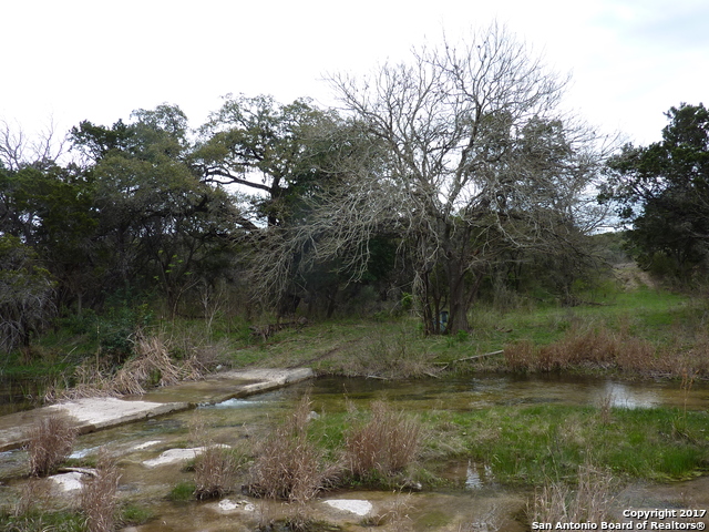 17032 Scenic Loop Road Property Photo 5