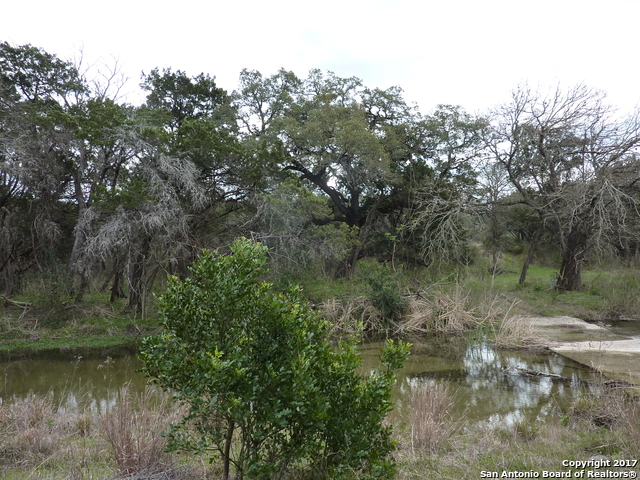 17032 Scenic Loop Road Property Photo 6