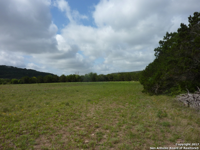 17032 Scenic Loop Road Property Photo 7