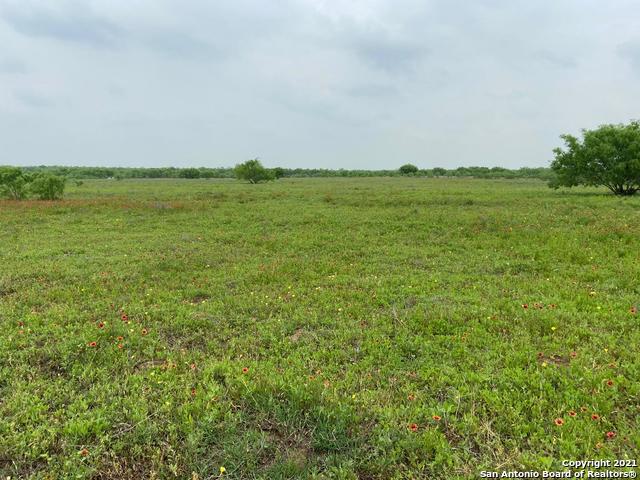 00 Applewhite Rd Property Photo 1