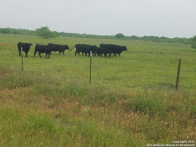 00 Applewhite Rd Property Photo 2