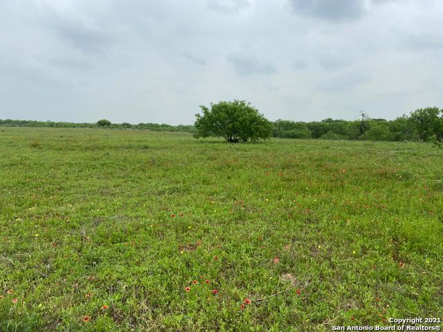 00 Applewhite Rd Property Photo 4