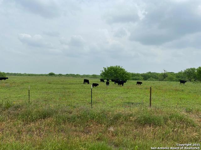 00 Applewhite Rd Property Photo 12