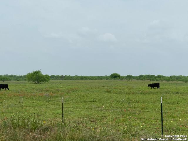 00 Applewhite Rd Property Photo 18