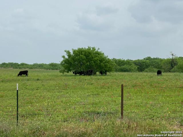00 Applewhite Rd Property Photo 19