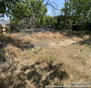 1111 Buena Vista St Property Photo 7