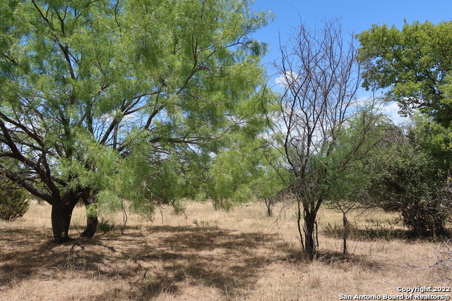 TBD Cypress Property Photo 1