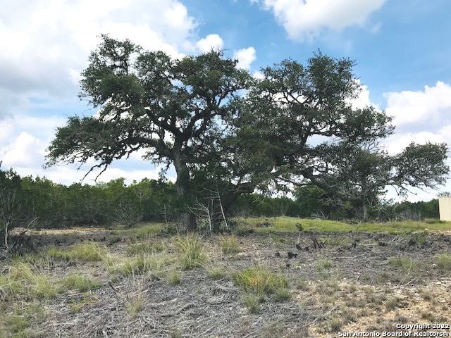 Parcel 4 Rio Lantana Property Photo 2