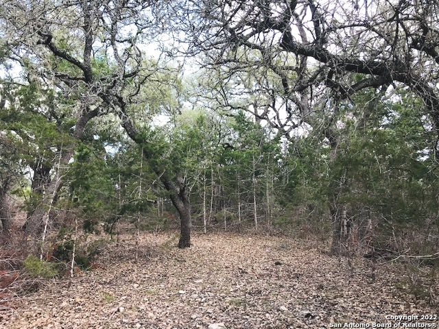 Parcel 4 Rio Lantana Property Photo 3