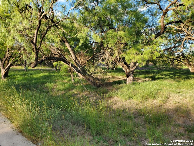 Hi Circle W W Hi Circle West - Lot 8088 Property Photo 2
