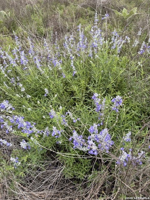 Lot 52 Clearwater Canyon Rd Property Photo 5