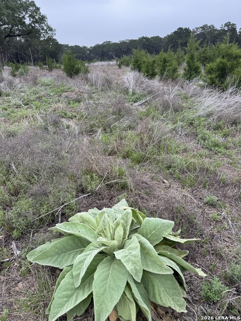 Lot 52 Clearwater Canyon Rd Property Photo 6