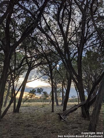 Lot 52 Clearwater Canyon Rd Property Photo 7