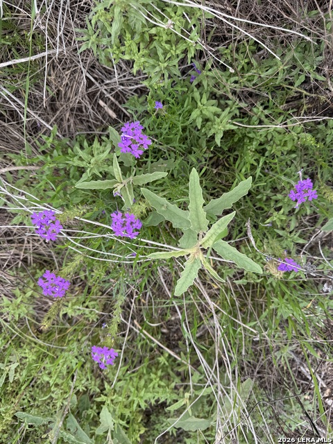 Lot 52 Clearwater Canyon Rd Property Photo 8