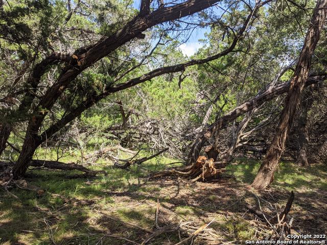 Lot 52 Clearwater Canyon Rd Property Photo 12