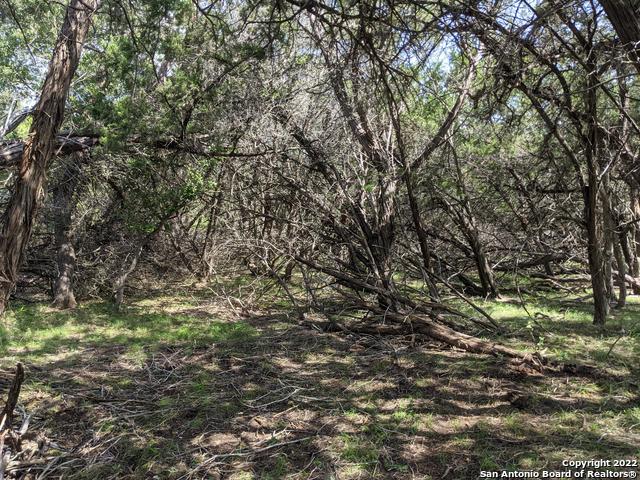 Lot 52 Clearwater Canyon Rd Property Photo 13